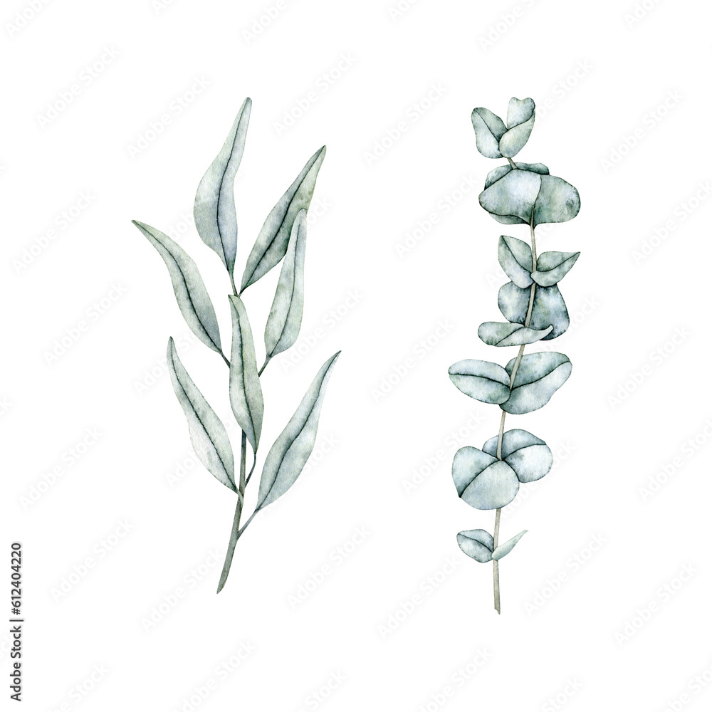 Emerald leaf branches collection. Greenery foliage, Eucalyptus, olive Botanical design element. Hand drawn watercolor illustration for greeting card, wedding invitation, pack, stationary Emerald leaf branches collection. Greenery foliage, Eucalyptus, olive Botanical design element. Hand drawn watercolor illustration for greeting card, wedding invitation, pack, stationary