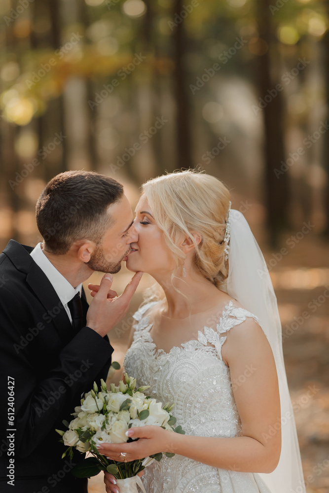 the bride and groom against the background of a fairy-tale fog in the forest, he kisses her on the cheek. The rays of the sun break through the smoke, a fairy-tale wedding. the bride and groom against the background of a fairy-tale fog in the forest, he kisses her on the cheek. The rays of the sun break through the smoke, a fairy-tale wedding.