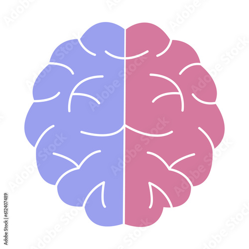 Human brain. Right hemisphere is pink, left is blue. Icon or sign. Colorful vector isolated illustration