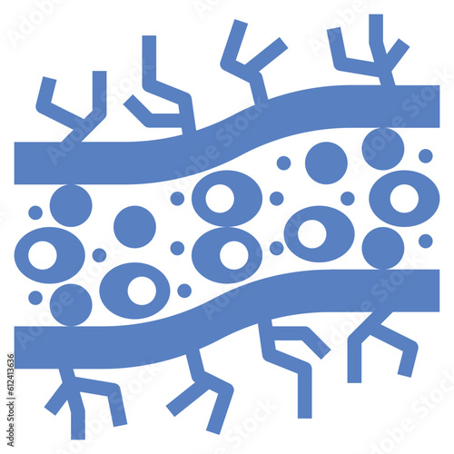 capillary