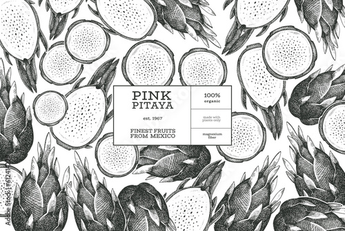 Hand drawn dragon fruit design template. Organic fresh food vector illustration. Retro pitaya fruit banner.