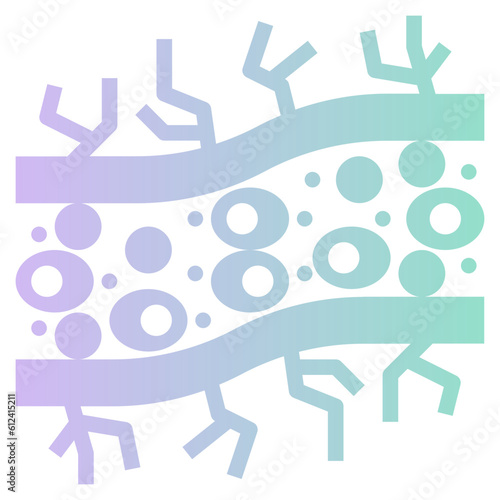 capillary