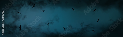 On the eve of storm. Background with seagulls flying in the dark blue thunder sky. Stormy weather with black realistic clouds long size vector illustration