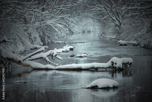 Fototapeta Naklejka Na Ścianę i Meble -  Krajobraz zimowy, rzeka i śnieżne wyspy