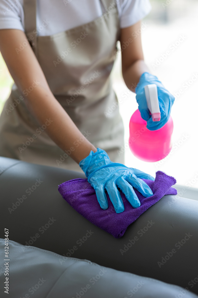 Cleaning concept. Young woman cleans sofa in the room, close up