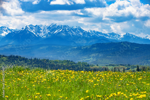 Fototapeta Naklejka Na Ścianę i Meble -  Zielone, letnie polany w górach, krajobraz 