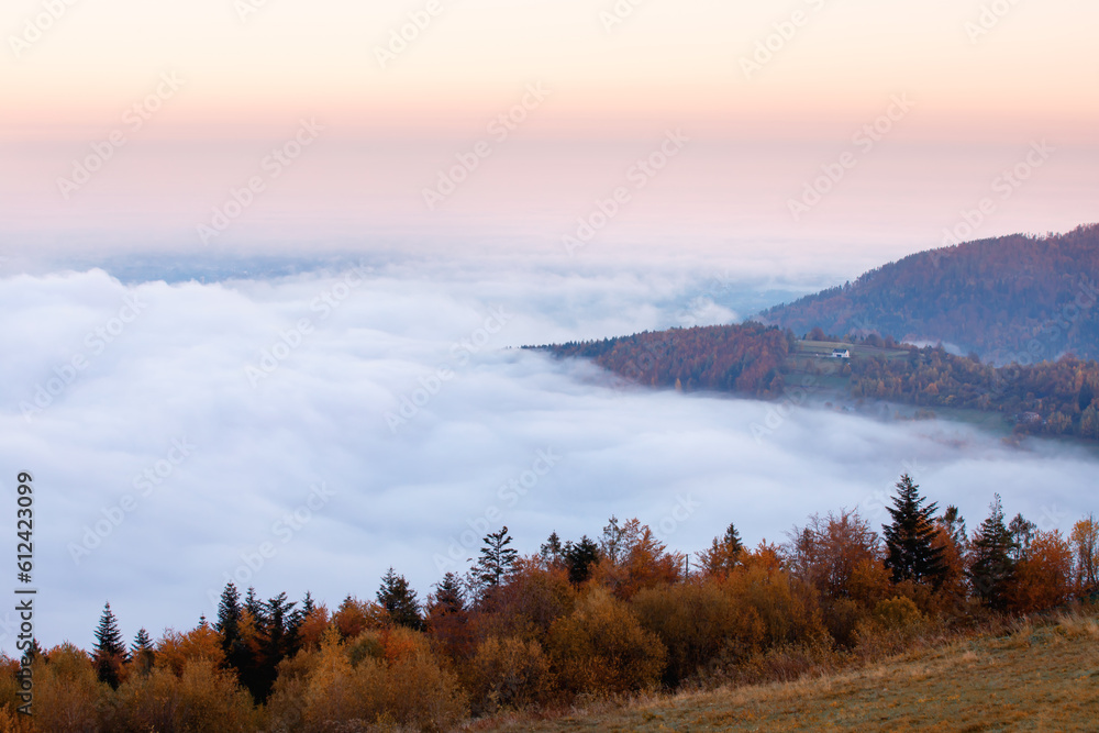 Krajobraz jesienny. Mglisty poranek w górach, Polska - obrazy, fototapety, plakaty 