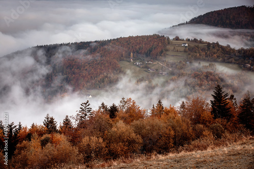 Krajobraz jesienny. Mglisty poranek w górach, Polska © anettastar