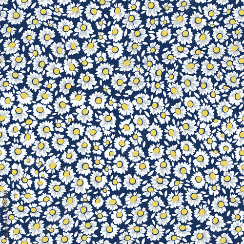 Daisy flowers pattern work, little floral seamless design