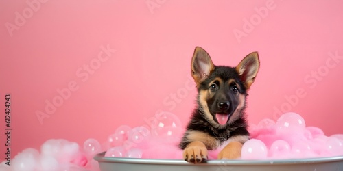 German shepherd puppy, taking a bath in the bathtub, background pink, Generative AI
