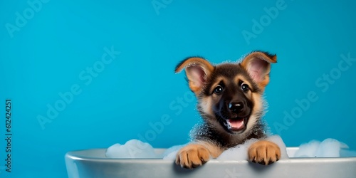 German shepherd puppy, taking a bath in the bathtub, background blue, Generative AI