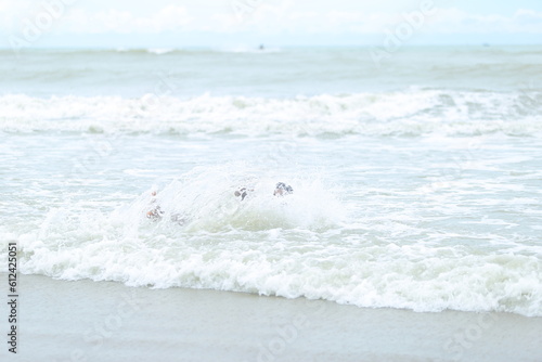 Fototapeta Naklejka Na Ścianę i Meble -  soft wave of the sea 