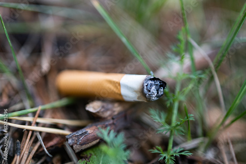 A cigarette butt thrown in nature