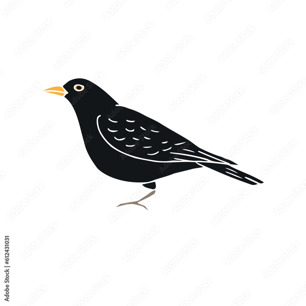 Obraz premium Vector hand drawn doodle sketch black catbird bird isolated on white background