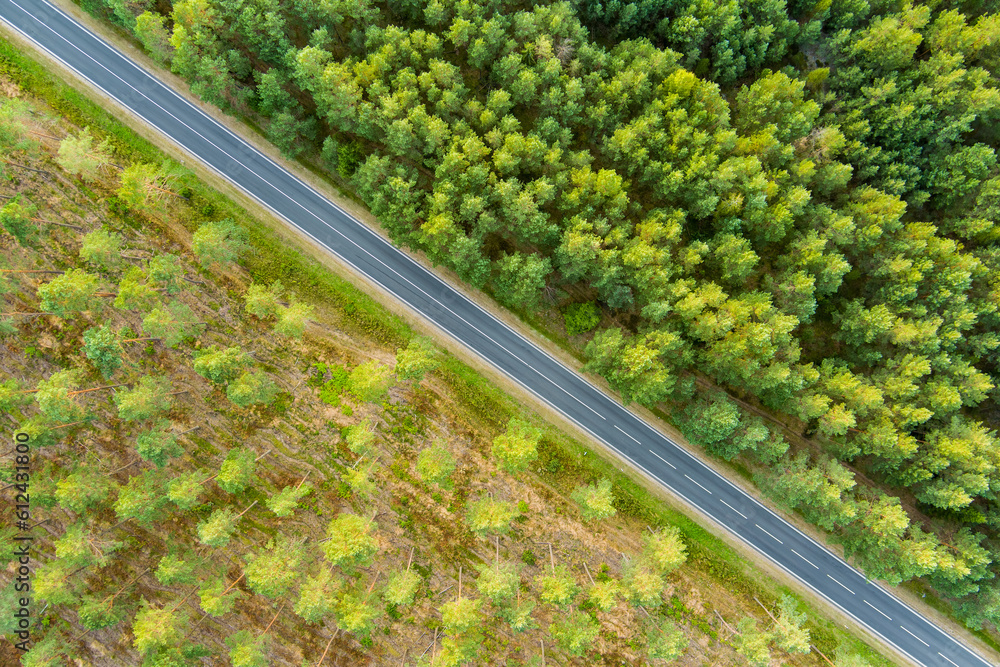 Aerial top down view of summer forest with two-lane road among pine trees. Beautiful summer scenery near Vilnius, Lithuania