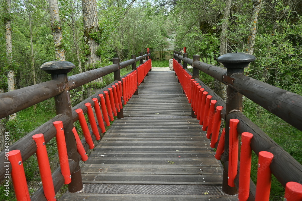 Puente de madera sobre río en medio de un bosque Puente de madera sobre río en medio de un bosque