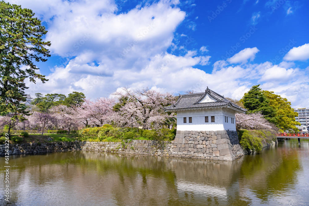 神奈川県小田原市　小田原城と桜の風景