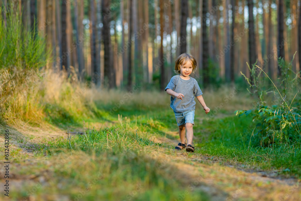 Adorable toddler boy having fun during a hike in the woods on beautiful sunny summer day. Active family leisure with kids. Adorable toddler boy having fun during a hike in the woods on beautiful sunny summer day. Active family leisure with kids.