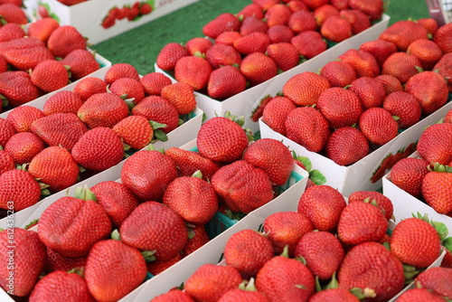 market strawberries 