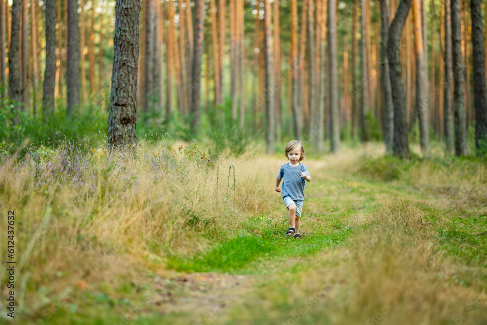 Adorable toddler boy having fun during a hike in the woods on beautiful sunny summer day. Active family leisure with kids. Adorable toddler boy having fun during a hike in the woods on beautiful sunny summer day. Active family leisure with kids.