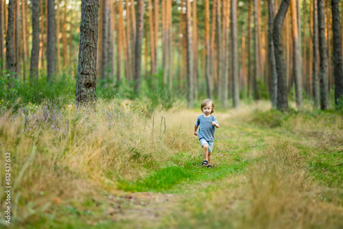 Adorable toddler boy having fun during a hike in the woods on beautiful sunny summer day. Active family leisure with kids.