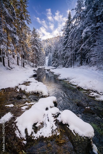 Picturesque winter scene of a snow-covered mountain stream surrounded by a forest