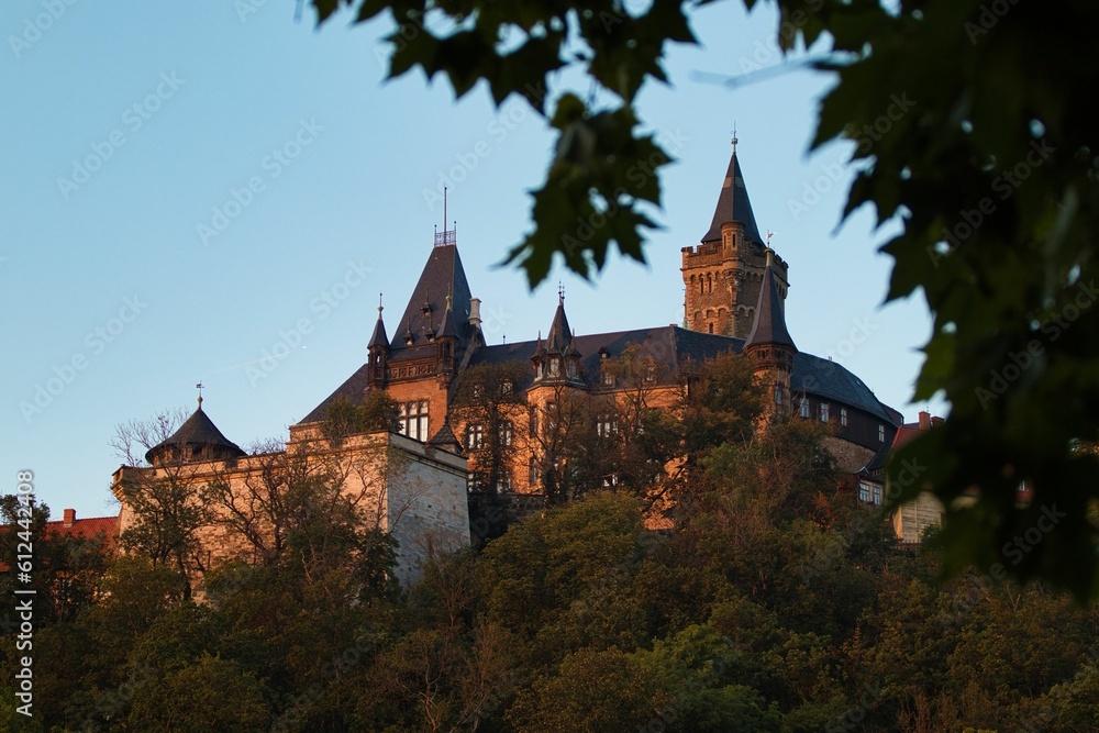 Aerial view of  Wernigerode castle surrounded by trees