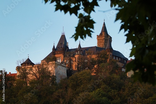 Aerial view of Wernigerode castle surrounded by trees
