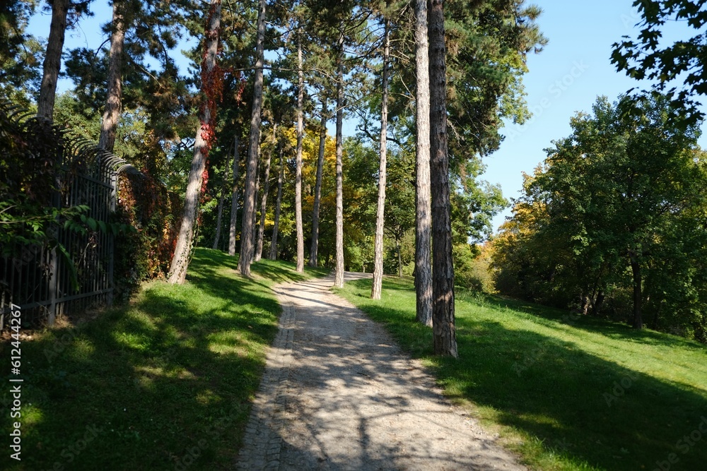 Beautiful view of a pathway surrounded by lush green trees and grass in Strahov Park, Prague