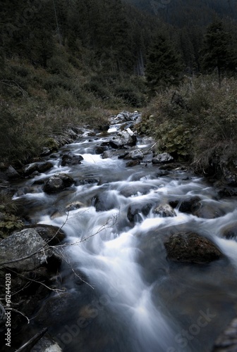 Long exposure river flowing over rocks in Ziarska Dolina valley  High Tatras  Slovakia