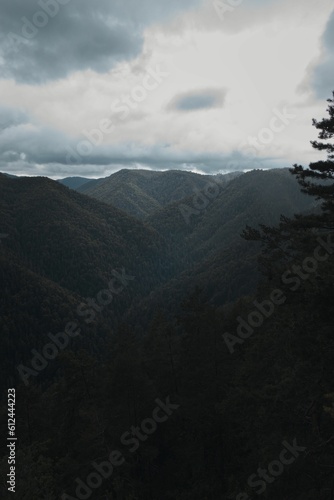 Beautiful view of a mountain range with dense trees against the cloudy sky