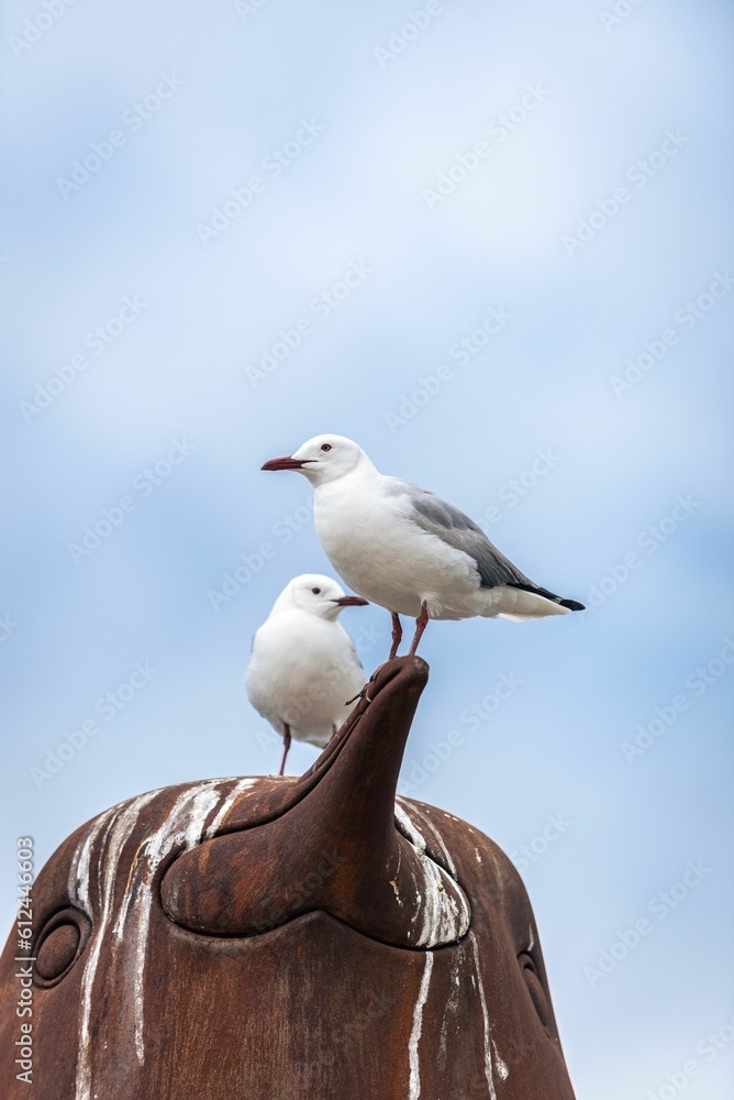 Vertical shot of two seagulls standing on a rusty bird statue against the sky Vertical shot of two seagulls standing on a rusty bird statue against the sky