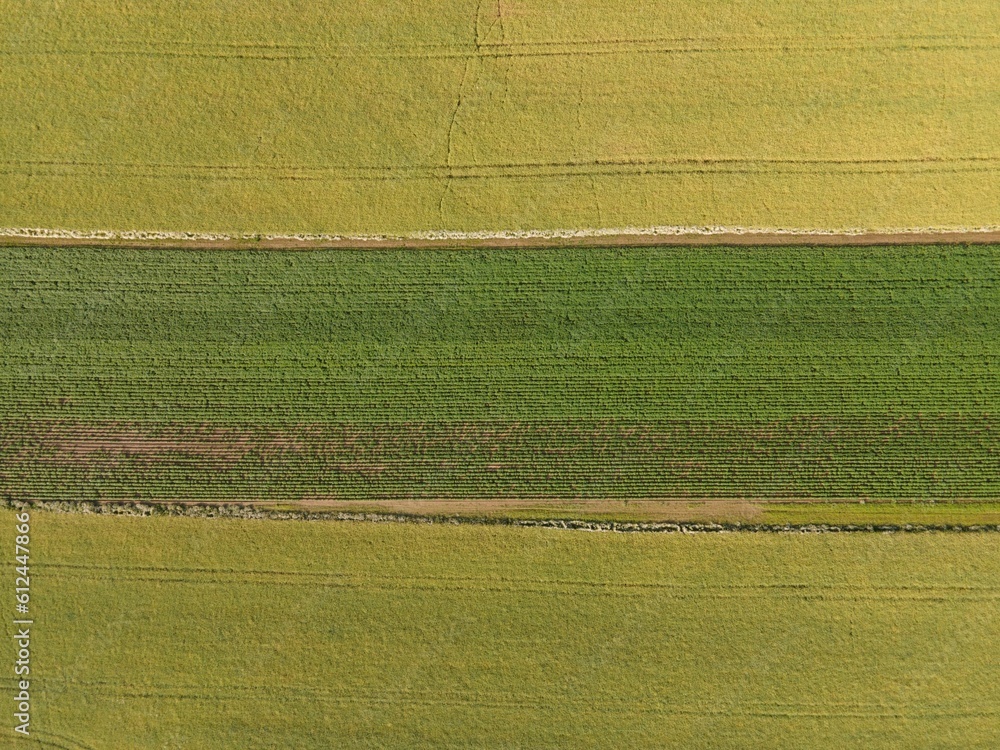 Drone shot of roads passing through large green agricultural fields