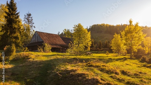 Wooden rural house in a green forest