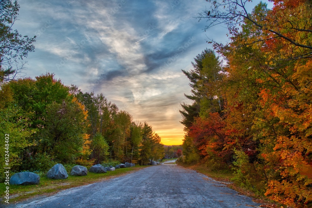 Road in a fall forest on the sunset
