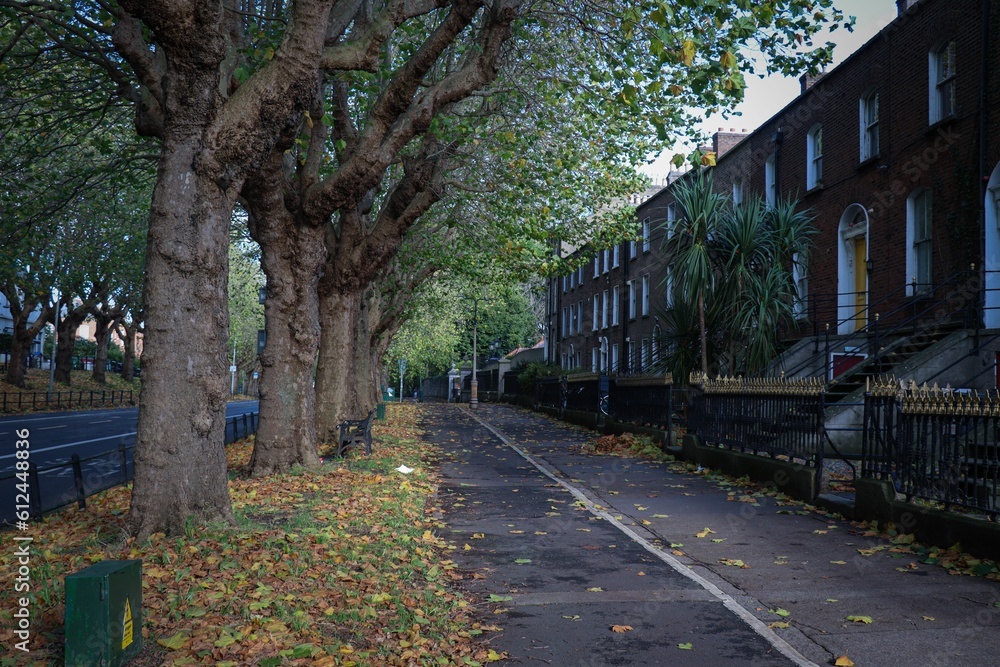 Sidewalk lined with buildings and trees in the fall Sidewalk lined with buildings and trees in the fall