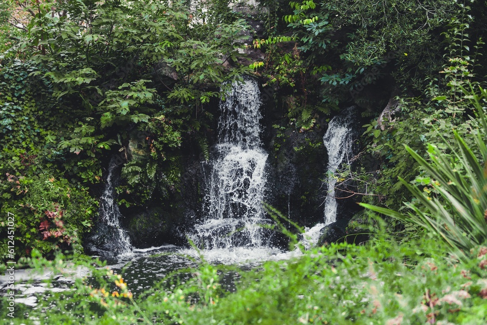 Scenic shot of a waterfall and green plants around, nature in a humid summer forest