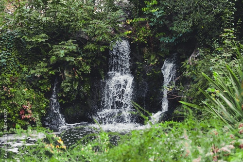 Scenic shot of a waterfall and green plants around  nature in a humid summer forest