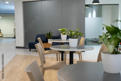 Indoor tables with plants on top with a wooden flooring in a clinic