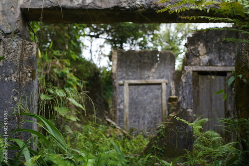Ruins of an abandoned house in the jungle