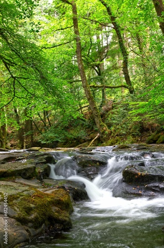 Vertical shot of the Erme river in south Devon, England