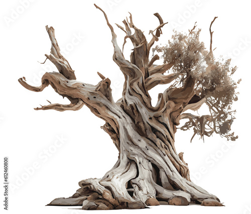 Vector beautiful ancient trees. Dead tree for horror content on white background