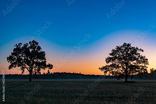 Beautiful view of two trees in the middle of a field during orange sunset