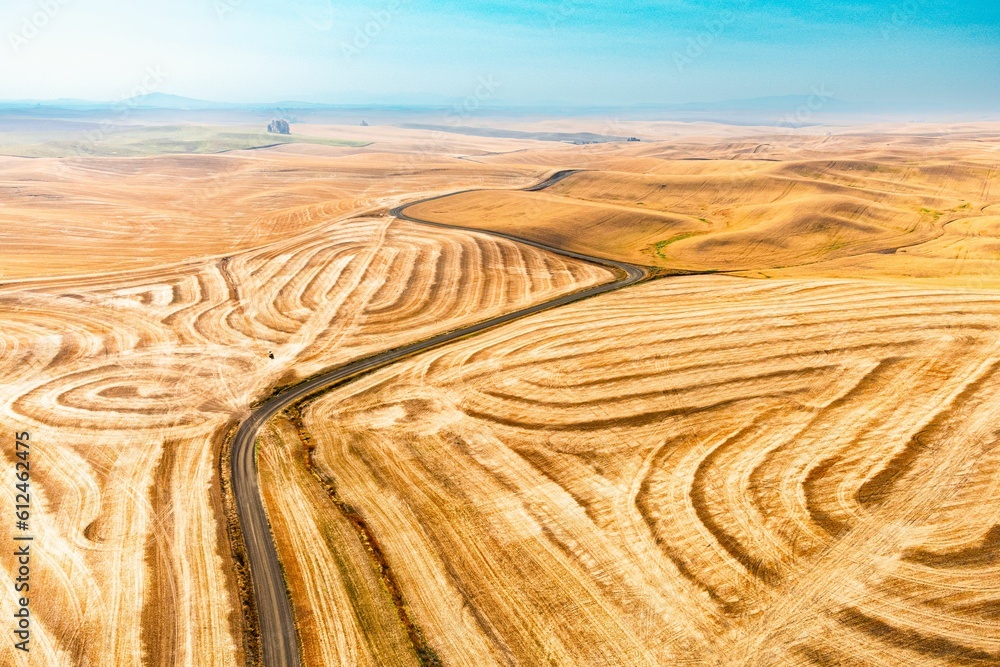 Naklejka premium Beautiful view of a wheat field with a rolling hill pattern