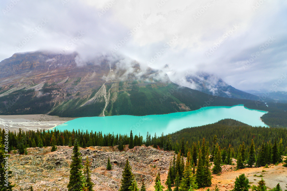 The magical turquoise blue waters of Peyto Lake on the Icefields Parkway in Jasper National Park in the Canada Rockies