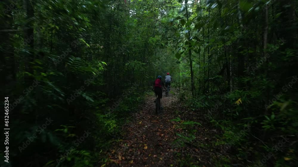 Back view of bikers riding bicycle in forest surrounded by dense trees in 4K Back view of bikers riding bicycle in forest surrounded by dense trees in 4K