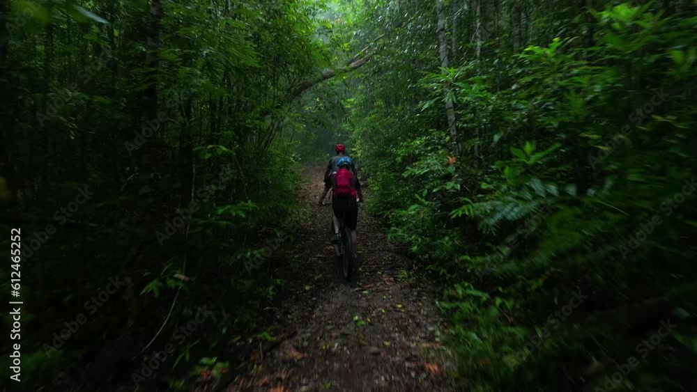 Back view of bikers riding bicycle in forest surrounded by dense trees in 4K Back view of bikers riding bicycle in forest surrounded by dense trees in 4K