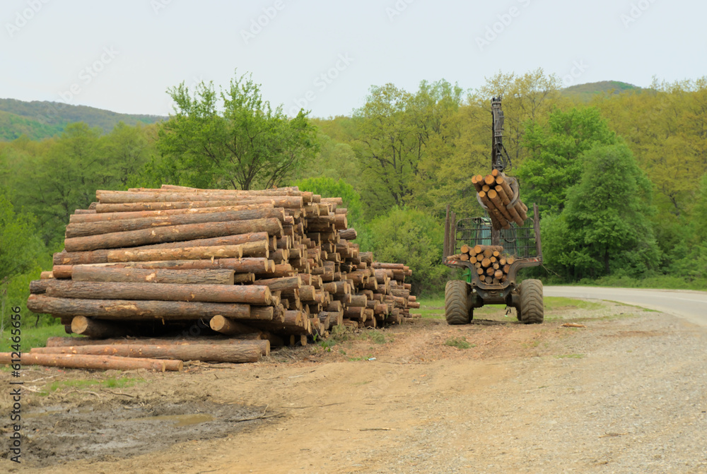 Logs for lumber are harvested in the forest, transported and reloaded for further transportation	