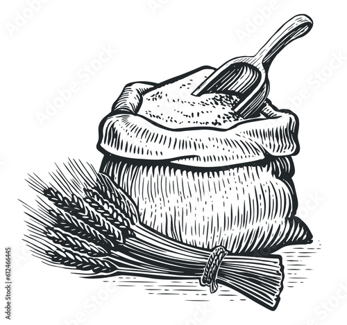 Sack of flour and scoop, ears of wheat. Farm food. Vintage sketch vector illustration for bakery or cooking
