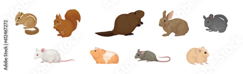 Different Rodents with Robust Bodies and Short Limbs Vector Set